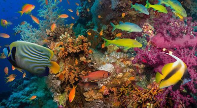 Das Aquarium in Quebec